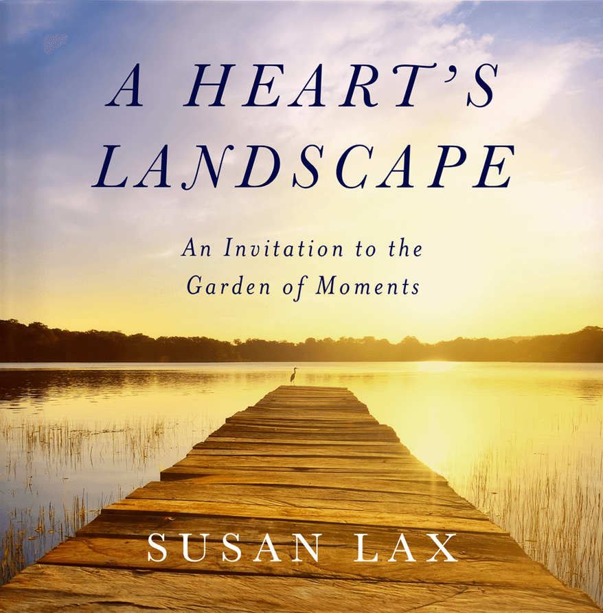 Debut author Susan Lax’s new book named a top holiday pick by Good Morning America