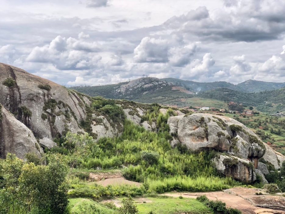 Researchers identify new species of endangered baobab tree in Madagascar Researchers identify new species of endangered baobab tree in Madagascar